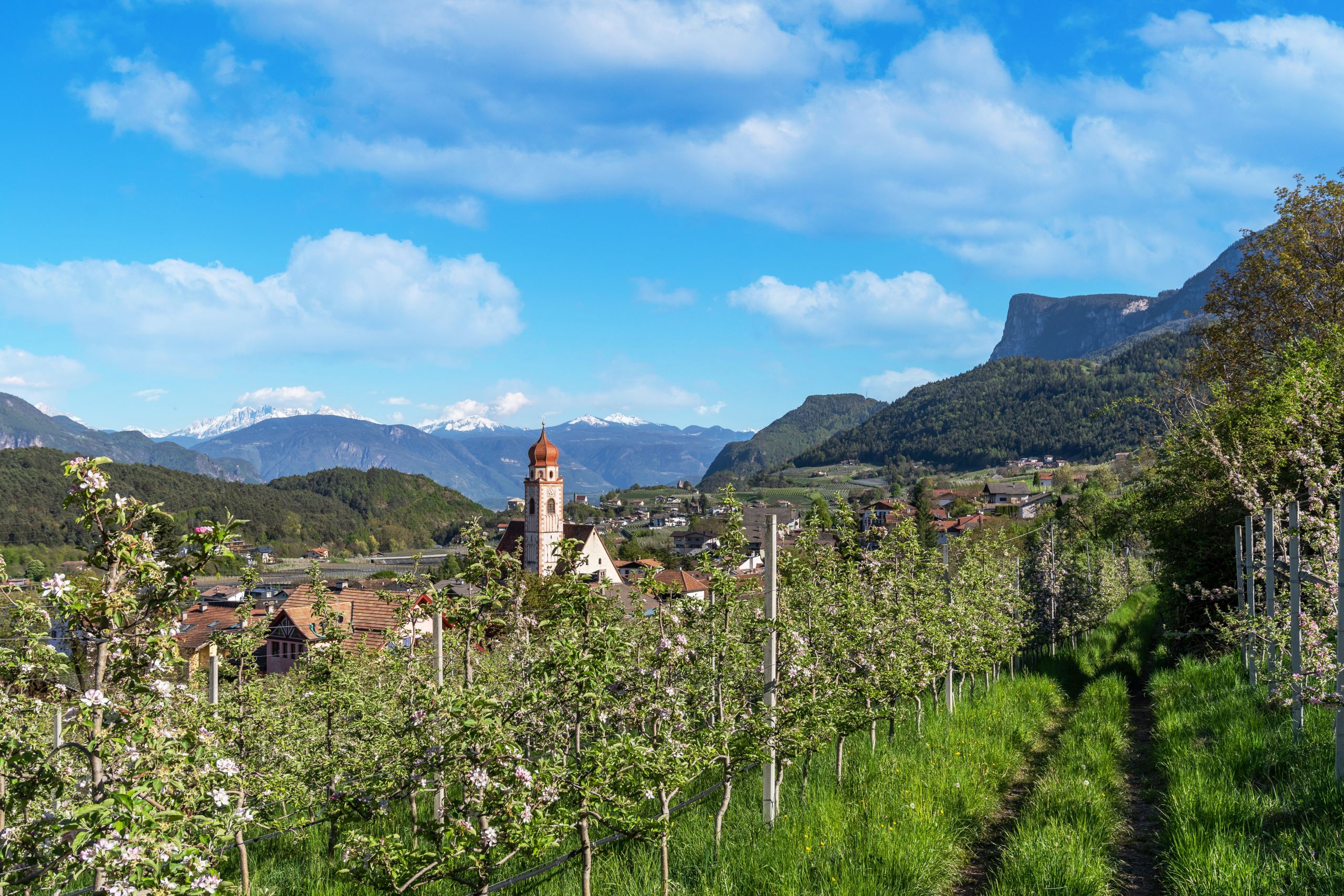 Kraftvolle Naturmomente