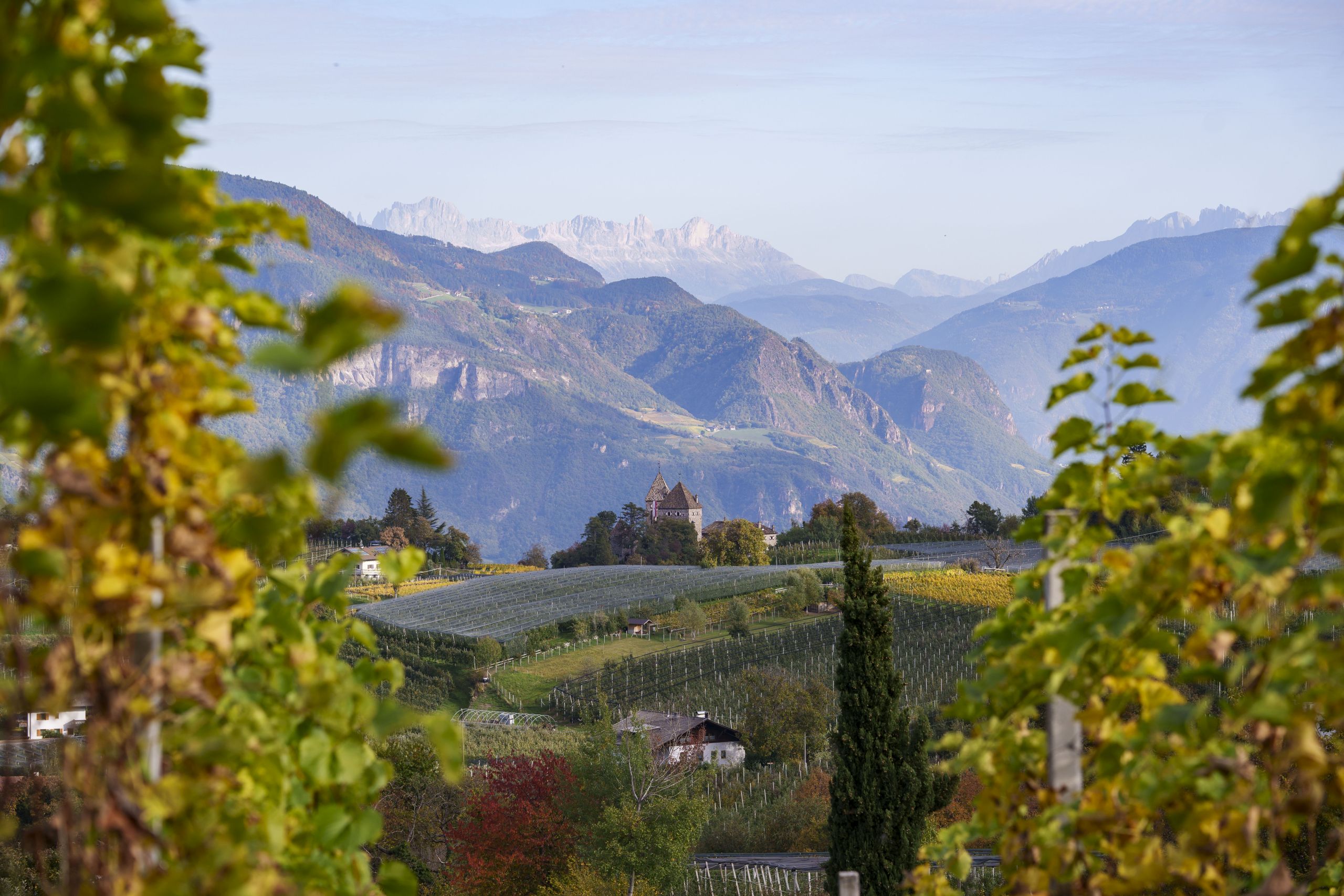 Herbst 2022 Rene Gamper DSC07601 Web